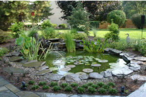 Create a Tranquil Oasis with a Pond Installation carroll landscaping