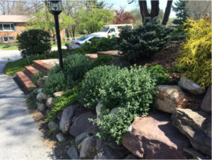 Why You Should Avoid DIY Landscaping carroll landscaping